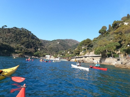 IMG-20250308-WA0034